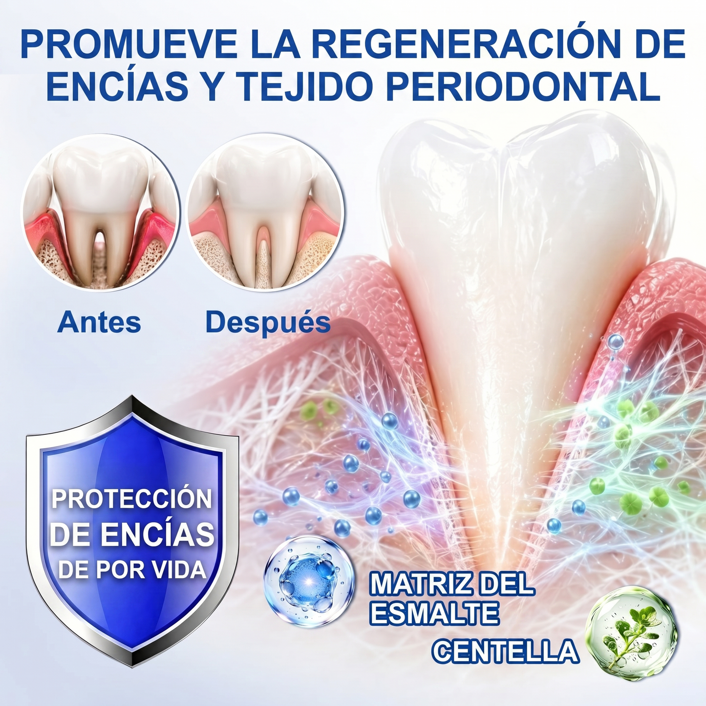 Zoencgz® 💯🍭 Gel antibacteriano para la regeneración de las encías | Resultados visibles en 7 días