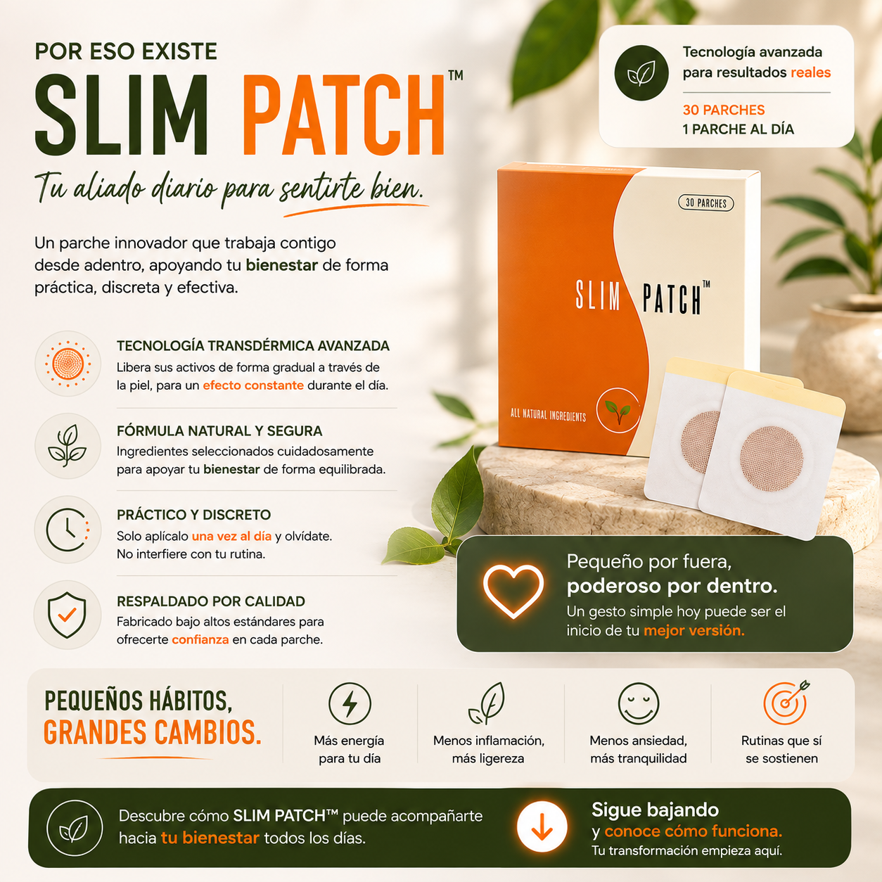 🧡🐚𝗧𝗶𝗲𝗻𝗱𝗮 𝗢𝗳𝗶𝗰𝗶𝗮𝗹 | 𝗦𝗜𝗟𝗠 𝗣𝗔𝗧𝗖𝗛™ 𝗣𝗮𝗿𝗰𝗵𝗲 𝗠𝗮𝗴𝗻é𝘁𝗶𝗰𝗼 𝗠𝗼𝗹𝗱𝗲𝗮𝗱𝗼𝗿 𝟰 𝗲𝗻 𝟭 𝗰𝗼𝗻 𝗠𝗼𝗿𝗶𝗻𝗴𝗮🌿 𝗕𝗲𝗿𝗯𝗲𝗿𝗶𝗻𝗮 𝘆 𝗟-𝗖𝗮𝗿𝗻𝗶𝘁𝗶𝗻𝗮